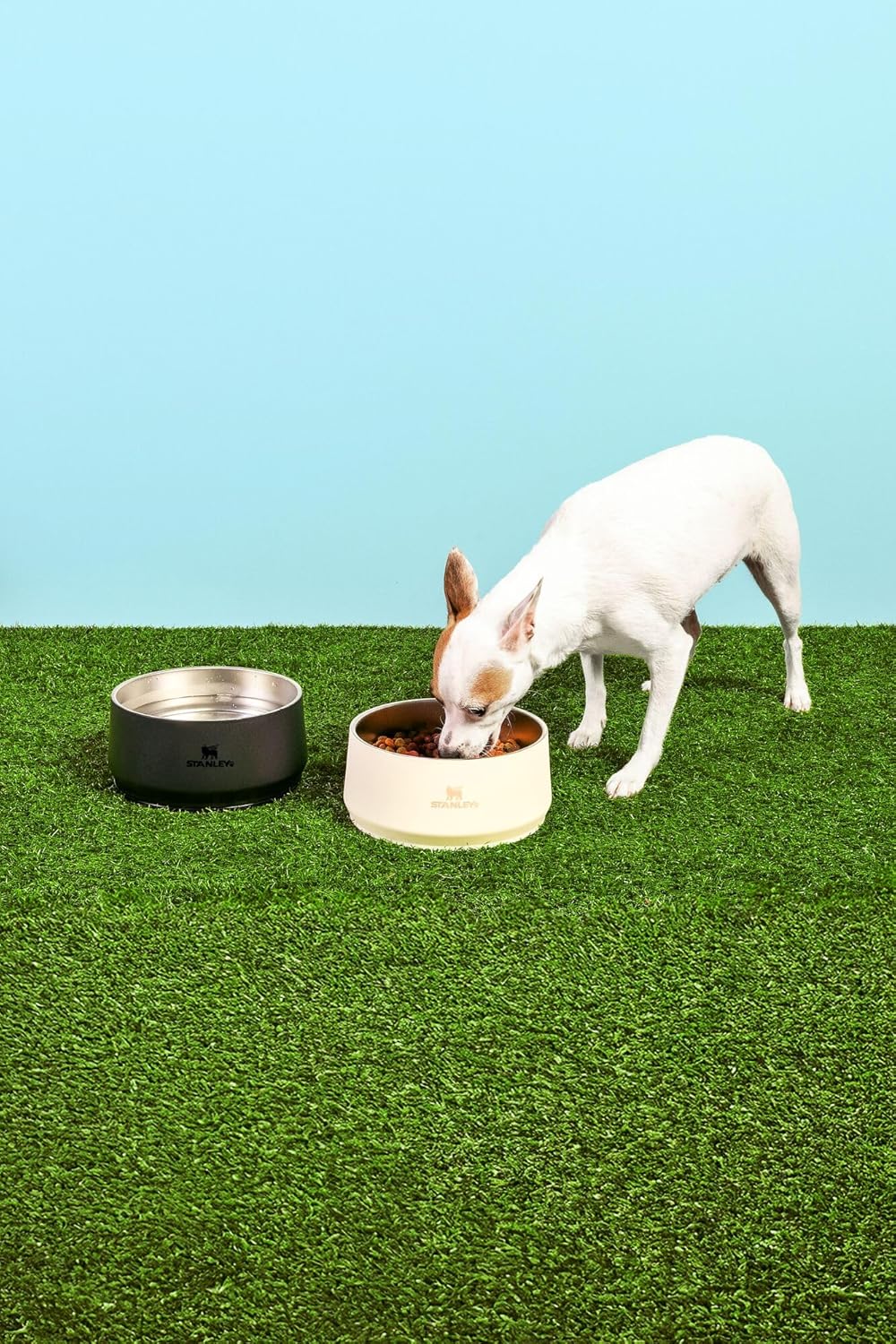 STANLEY Tazón Para Mascotas Original 24 oz