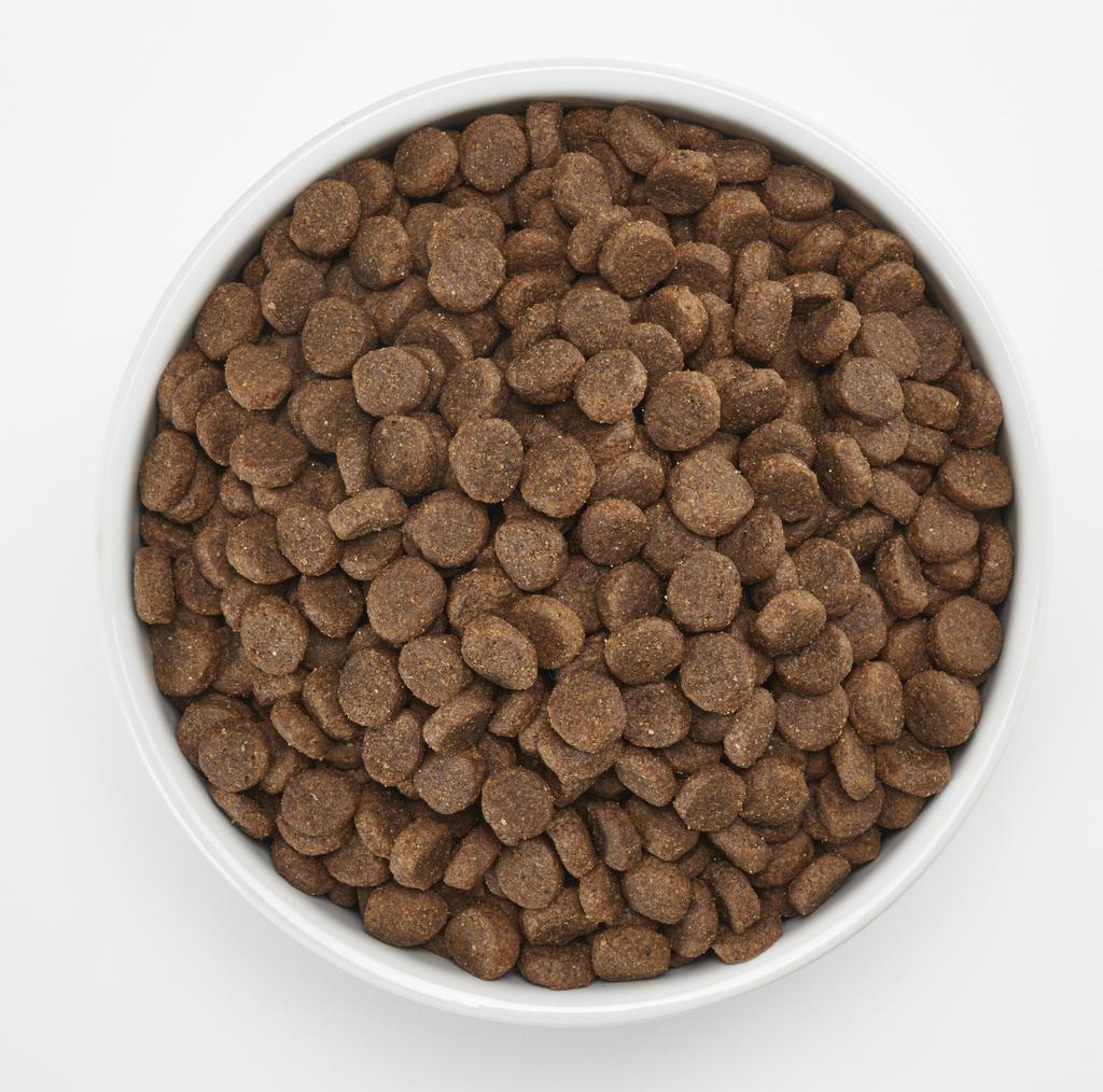 Alimento para Perro Formula de Salmón y Arroz 13.6 kg / 30 lb Member's Selection