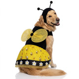 Disfraces De Halloween Para Perros