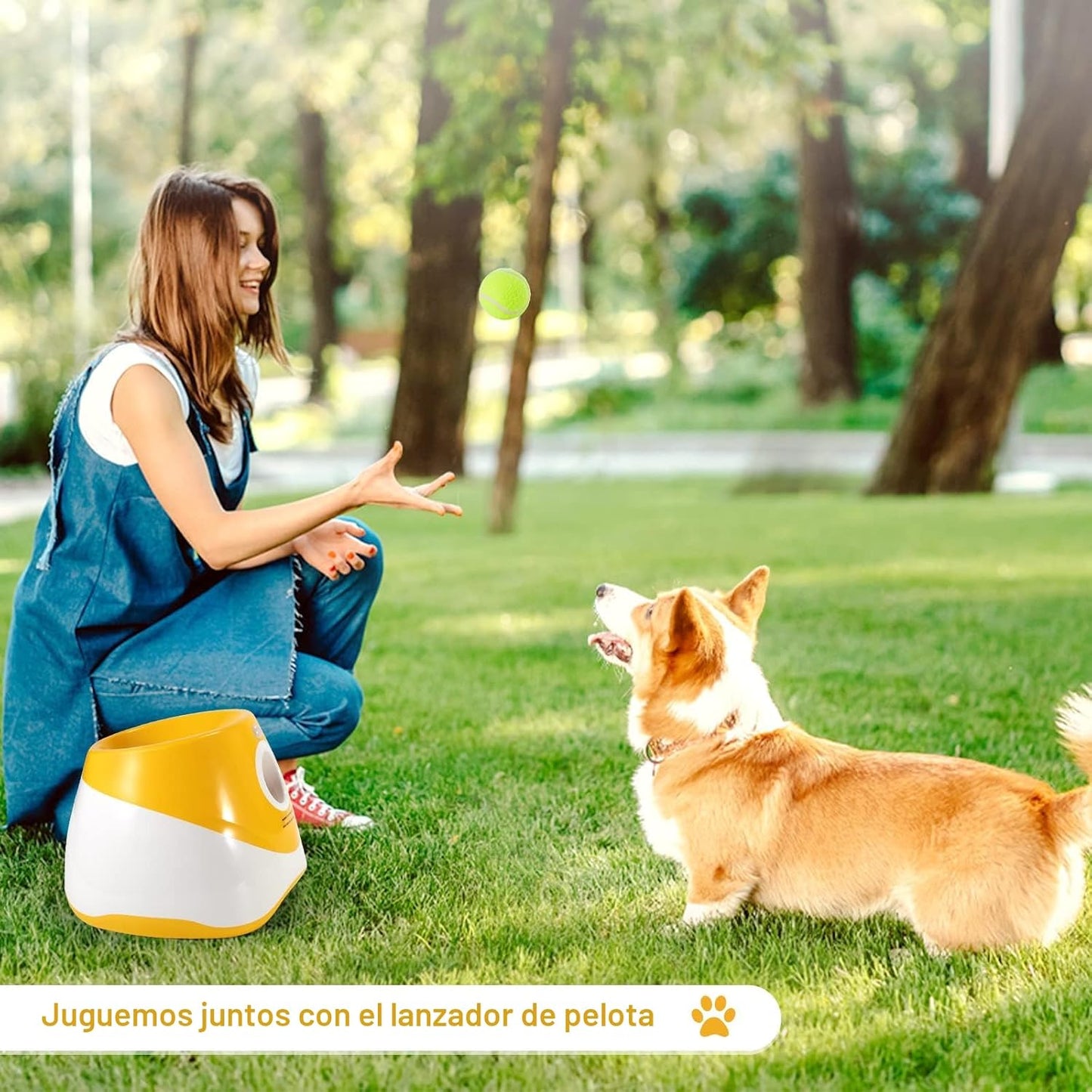 Lanzador de Pelotas Automatico Para Perros