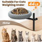 Cama de Escritorio Para Gatos
