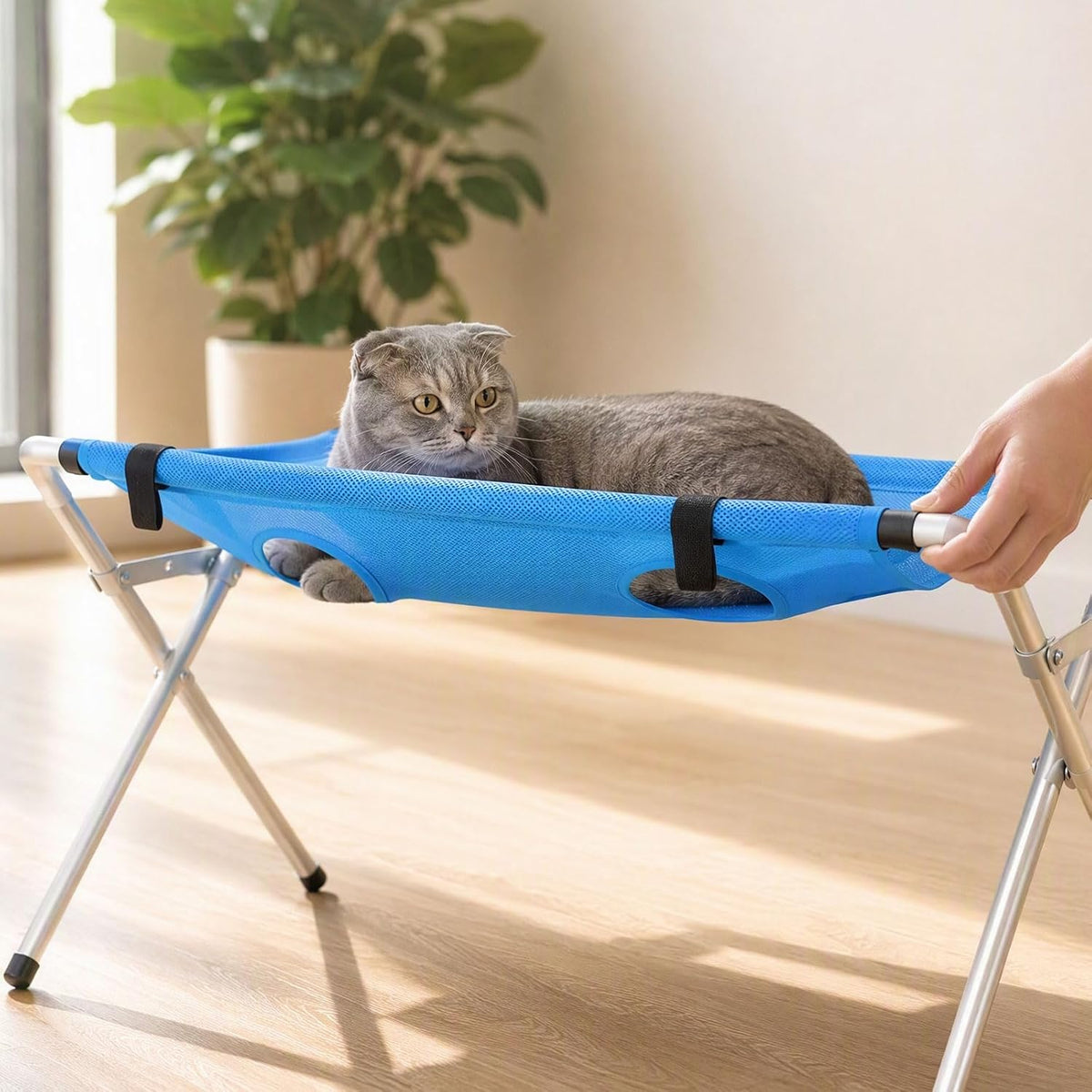Mesa de Baño Plegable para Mascotas