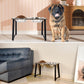 Comedero Elevado para Perros Grandes