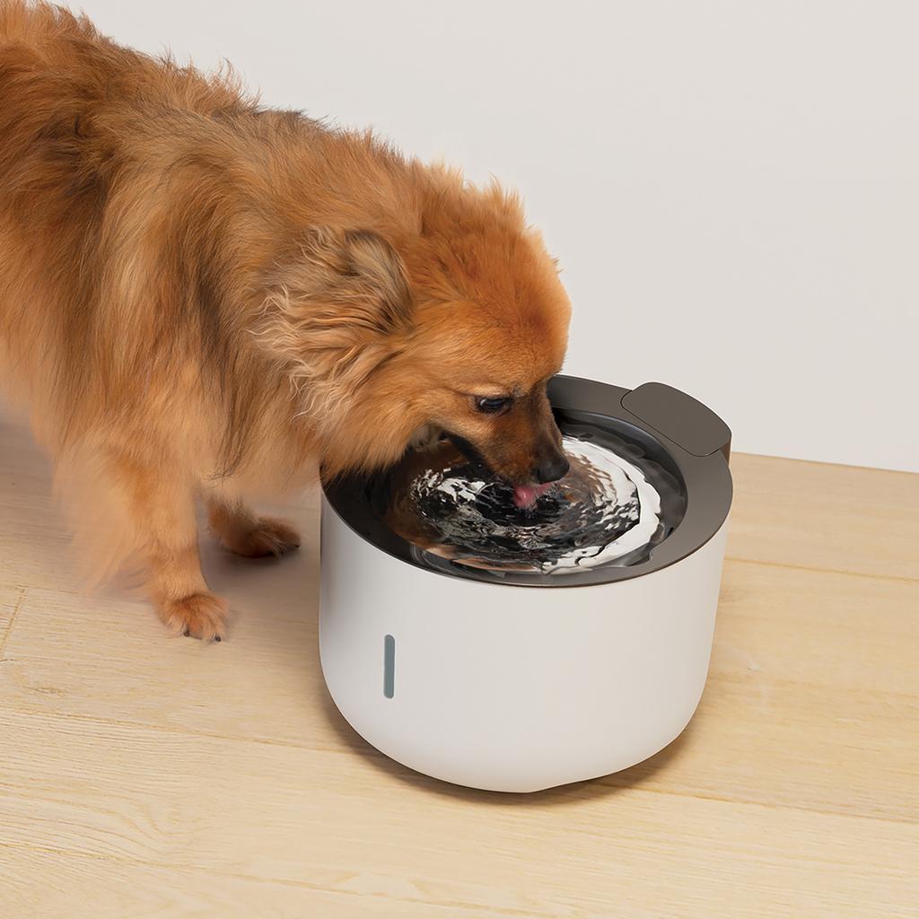 Fuente Purificadora de Agua para Mascotas Zeus