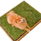 Sanitario Natural Para Mascotas