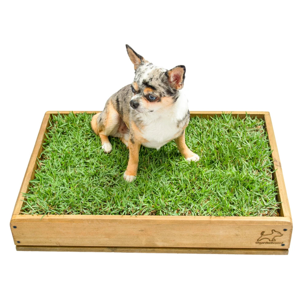 Sanitario Natural Para Mascotas