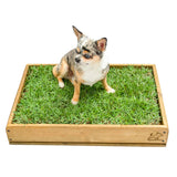 Sanitario Natural Para Mascotas