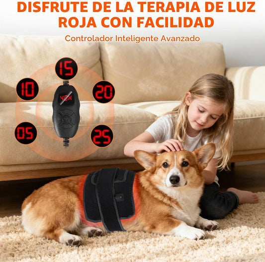 Cinturón De Terapia De Luz Roja