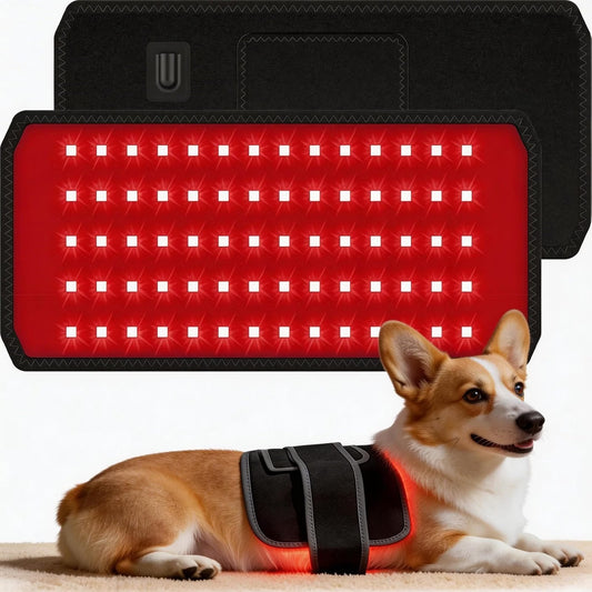 Cinturón De Terapia De Luz Roja