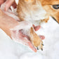 Kit De Baño Lina Premium Trendify Para Mascotas - Shampoo, Acondicionador Y Shampoo En Seco