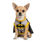 Disfraces De Halloween Para Perros