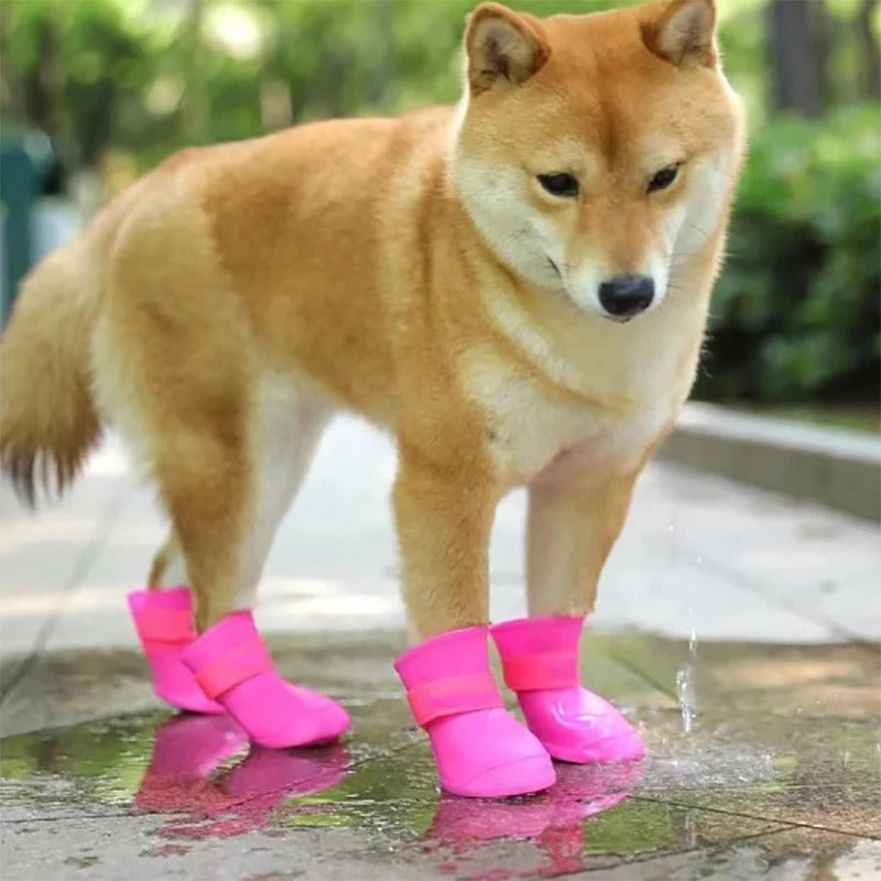 Botas Impermeables Para Perros
