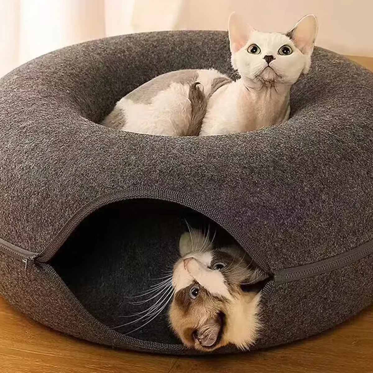 Cama Tunel Para Gatos Con Cremallera